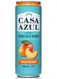 Casa Azul - Peach Mango Tequila Soda NV (414)