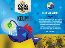 Czig Meister Brewing Company - Kelp (Deep Sea Series) (4 pack 16oz cans) (4 pack 16oz cans)